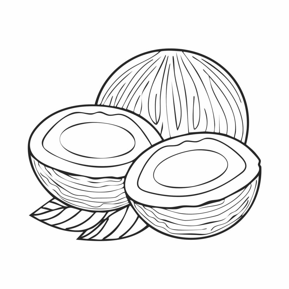 Coconut Fruit Food Meal Healthy Coloring Kid Page in Black and White. Monochrome and Colored Samples vector