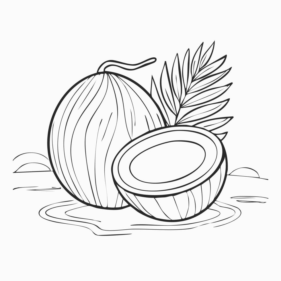Coconut Fruit Food Meal Healthy Coloring Kid Book in Black and White. Monochrome and Colored Samples vector