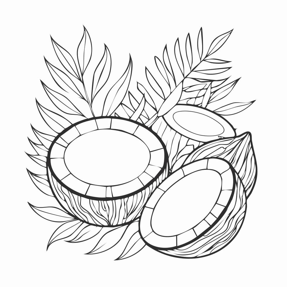 Coconut Fruit Food Meal Healthy Coloring Kid Book Page in Black and White. Monochrome and Colored Samples vector