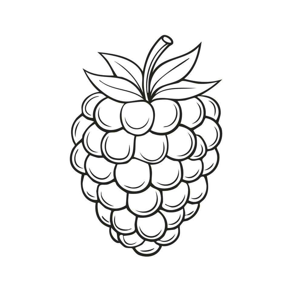 Raspberry Fruit Food Meal Healthy Coloring Kid Page in Black and White. Monochrome and Colored Samples vector