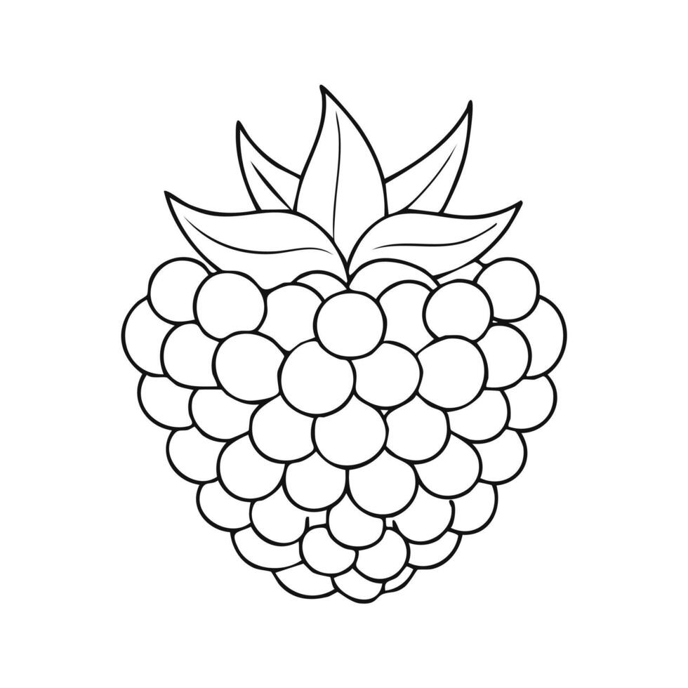 Raspberry Fruit Food Meal Healthy Coloring Kid Book Page in Black White. Monochrome and Colored Samples vector
