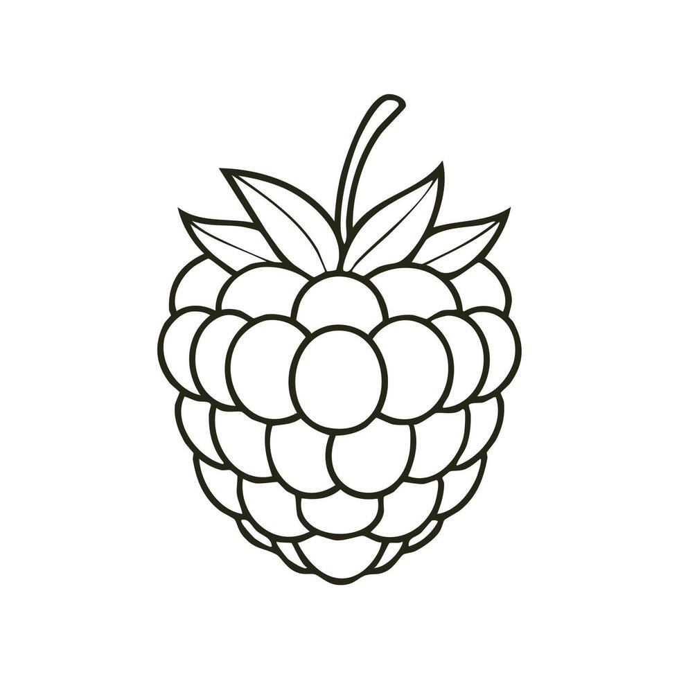 Raspberry Fruit Food Meal Healthy Coloring Kid Book Page in Black and White. and Colored Samples vector