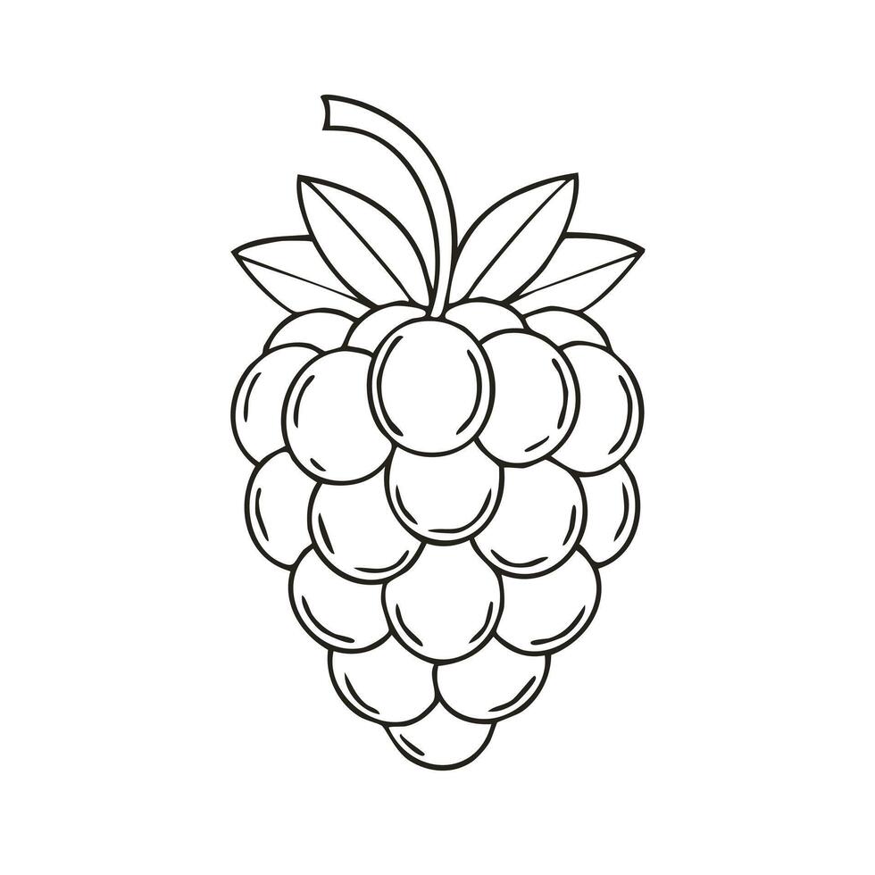 Raspberry Fruit Food Meal Healthy Coloring Kid Book in Black and White. Monochrome and Colored Samples vector