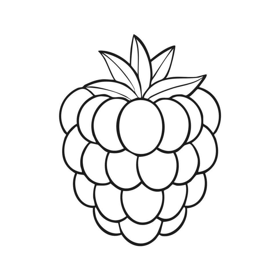 Blackberry Fruit Food Meal Healthy Coloring Kid Page in Black and White. Monochrome and Colored Samples vector