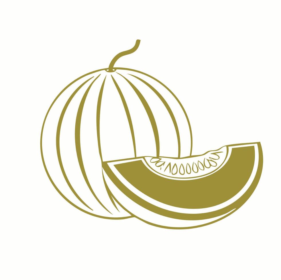 Melon Fruit Food Meal Healthy Coloring Kid Book Page in Black and White. Monochrome Colored Samples vector