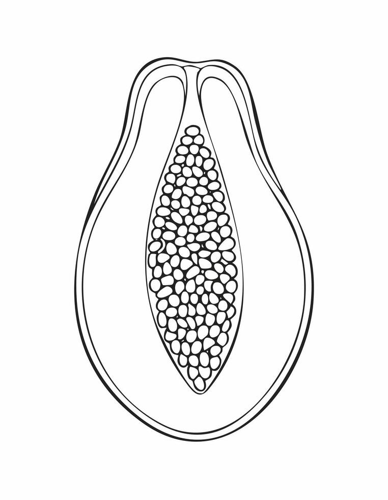 Papaya Fruit Food Meal Healthy Coloring Kid Book Page in Black and White. Monochrome vector