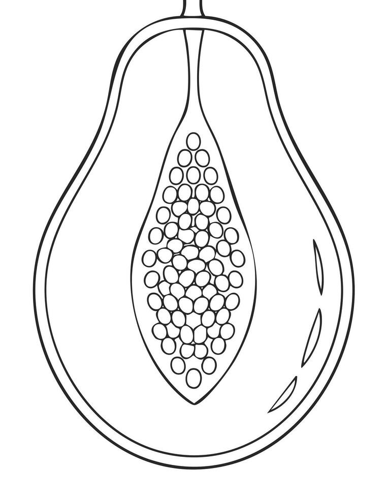 Papaya Fruit Food Meal Healthy Coloring Kid Book Page Black and White. Monochrome and Colored Samples vector
