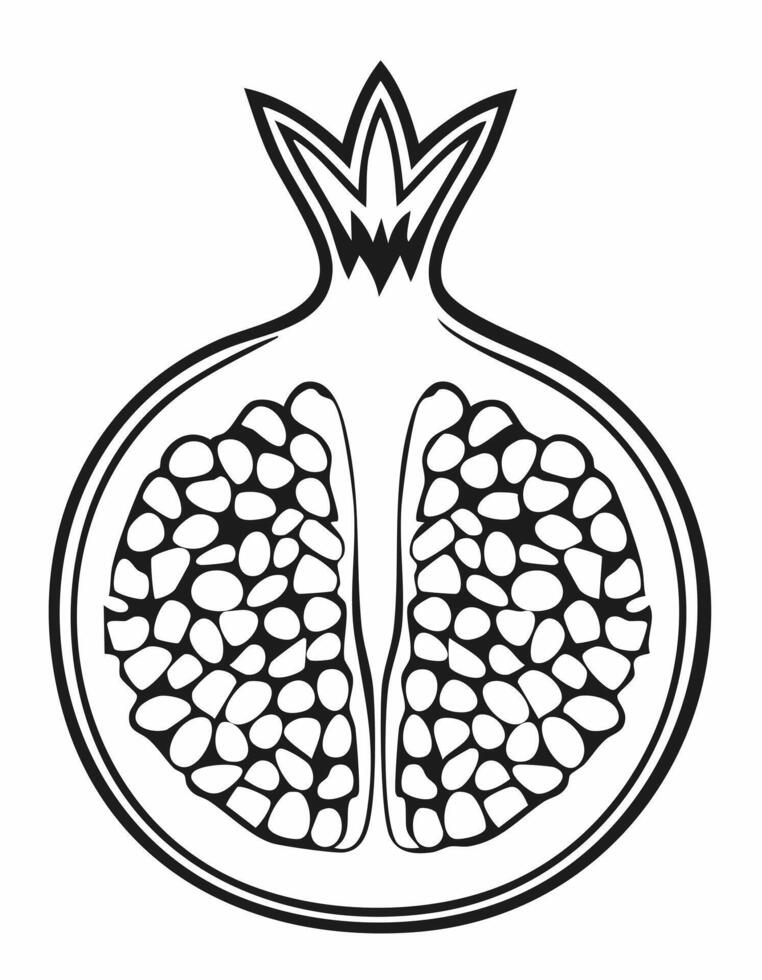 Pomegranate Fruit Food Meal Healthy Coloring Kid Page in Black and White. Monochrome and Colored Samples vector