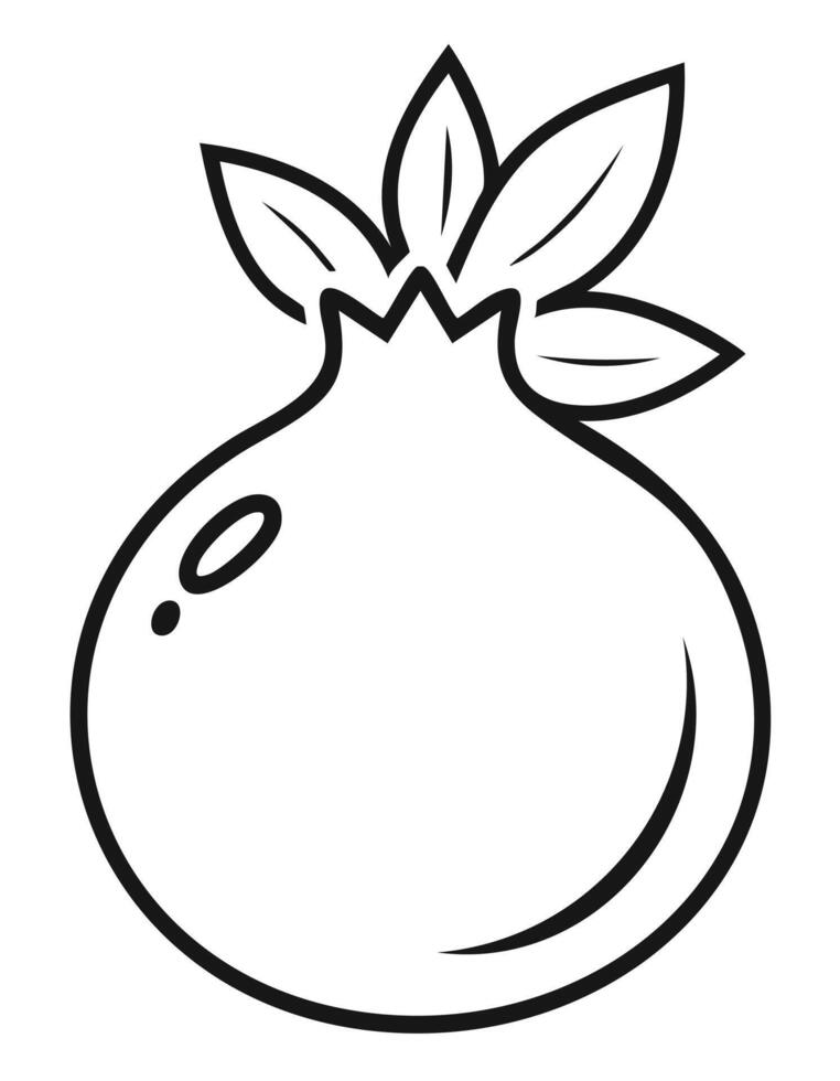 Pomegranate Fruit Food Meal Healthy Coloring Kid Book Page in Black and White. and Colored Samples vector