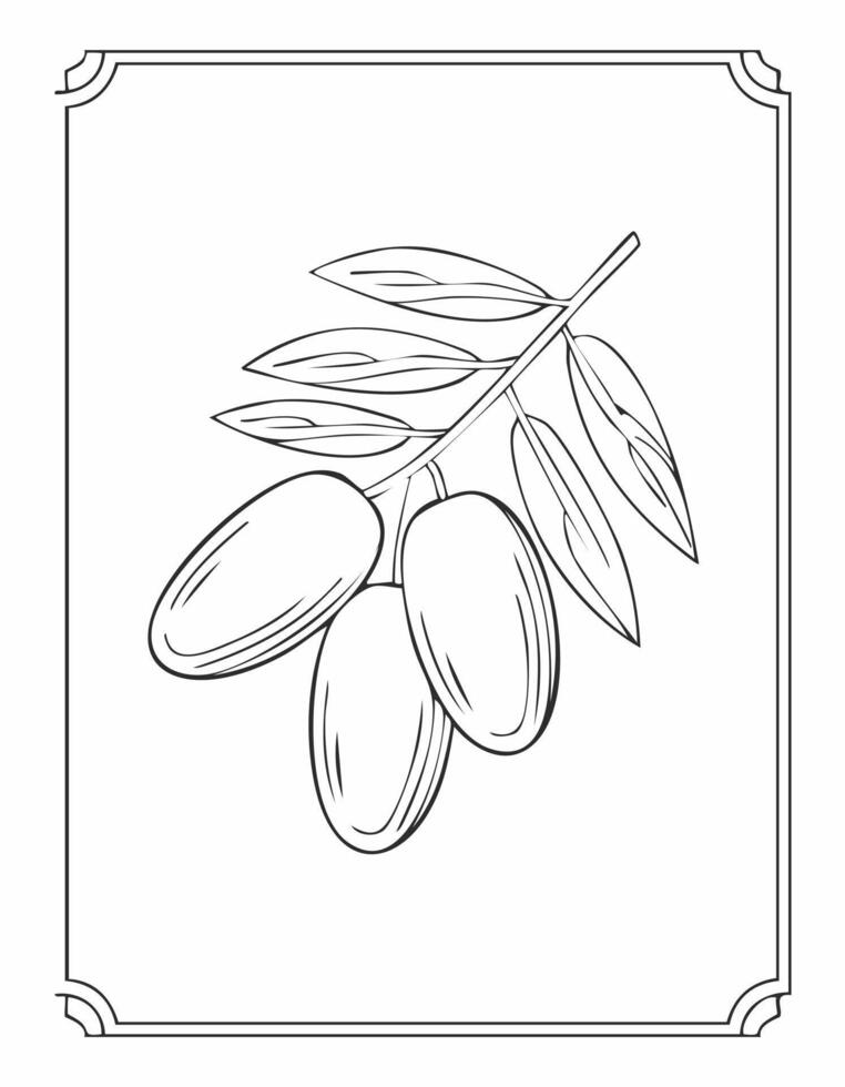 Date Fruit Food Meal Healthy Coloring Kid Book Page in Black and White. and Colored Samples vector