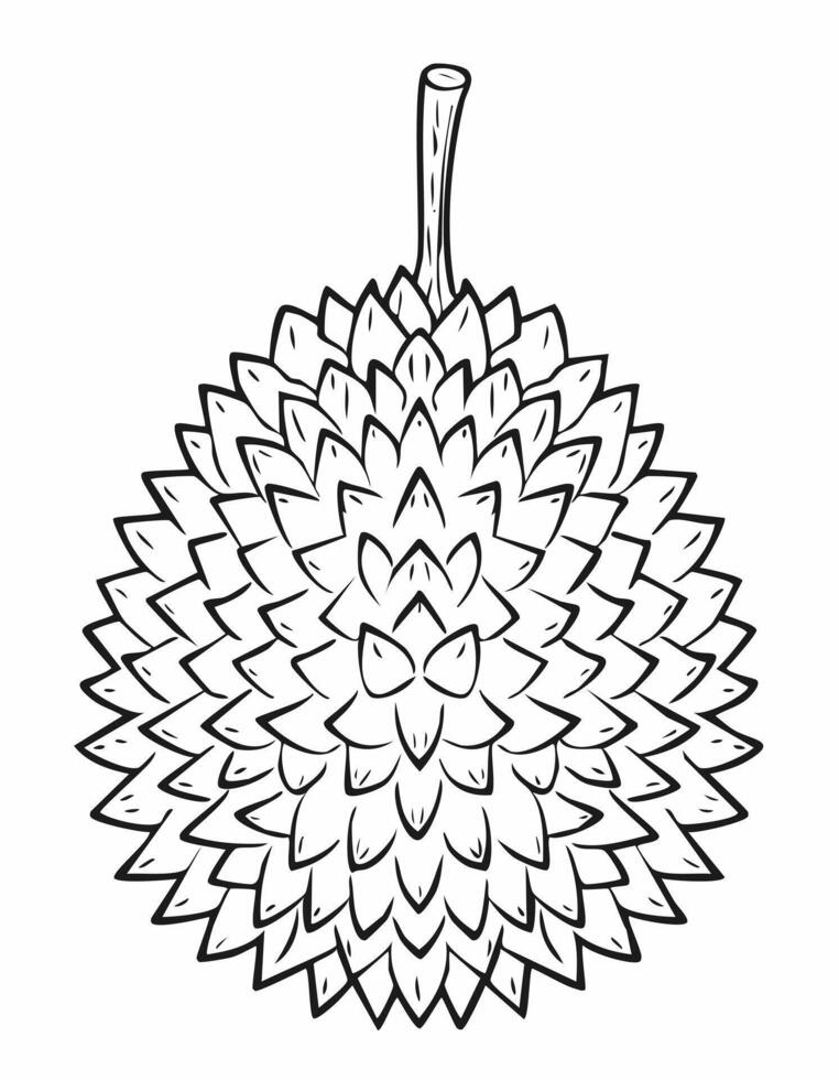 Durian Fruit Food Meal Healthy Coloring Kid Book in Black and White. Monochrome and Colored Samples vector