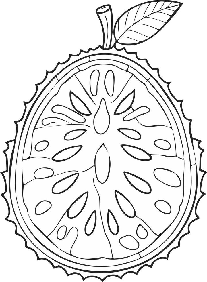 Soursop Fruit Food Meal Healthy Coloring Kid Page in Black and White. Monochrome and Colored Samples vector