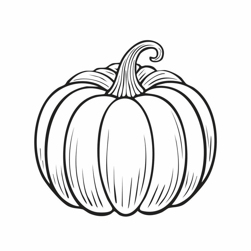 Pumpkin Vegetable Vegan Food Meal Healthy Coloring Kid Book Page in Black and White. Monochrome and Colored Samples vector