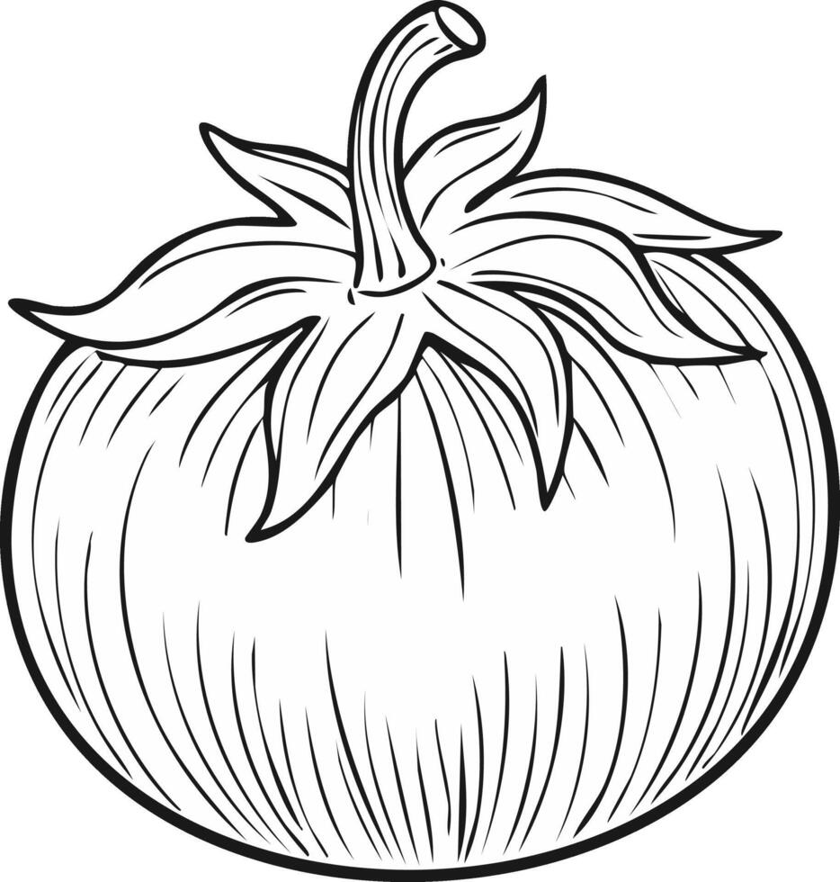 Tomato Vegetable Vegan Food Meal Healthy Coloring Kid Book Page in Black and White. Monochrome and Colored Samples vector