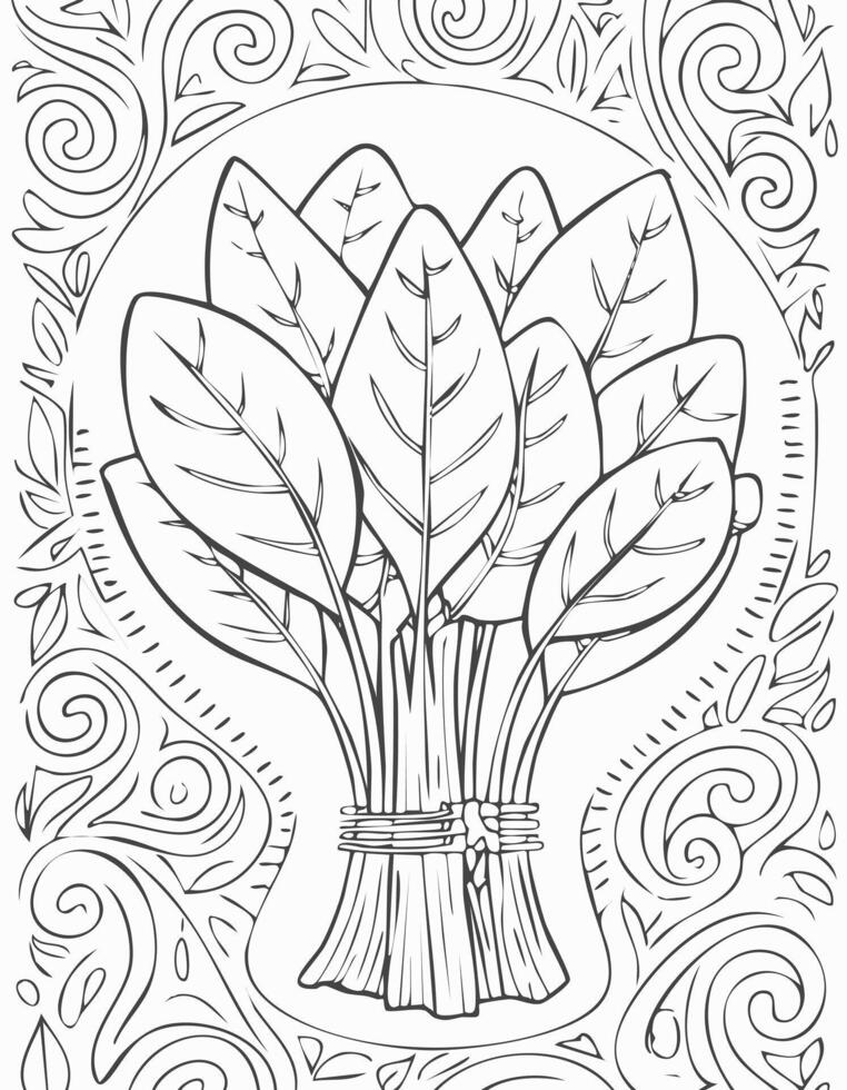 Spinach Vegetable Vegan Food Meal Healthy Coloring Kid Book Page in Black and White. Monochrome and Samples vector