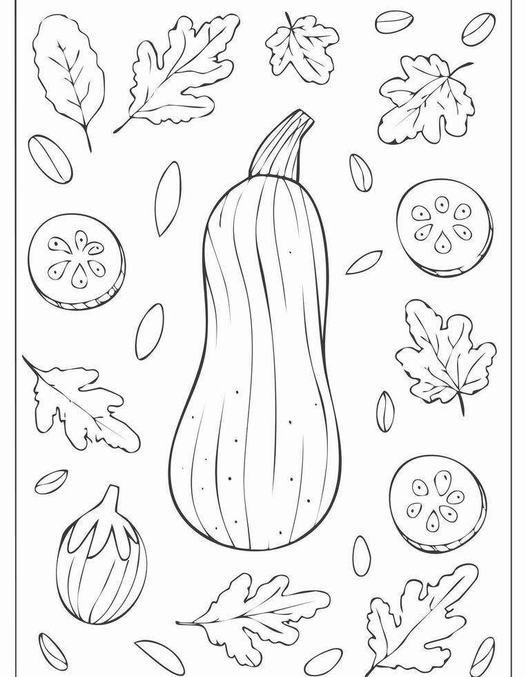 Zucchini Vegetable Vegan Food Meal Healthy Coloring Kid Book Page in Black White. Monochrome and Colored Samples vector
