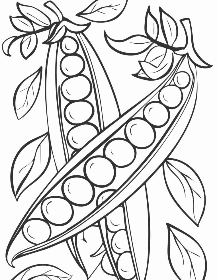 Pea Vegetable Vegan Food Meal Healthy Coloring Kid Book Page in Black and White. and Colored Samples vector