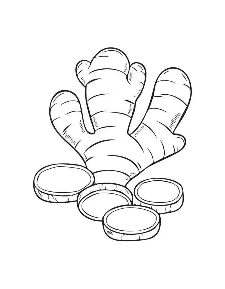 Ginger Vegetable Spice Vegan Food Meal Healthy Coloring Kid Book Page in Black and White. and Colored Samples vector
