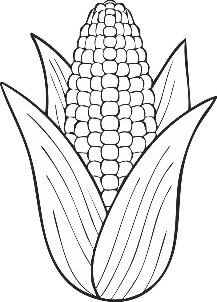 Corn Vegetable Spice Vegan Food Meal Healthy Coloring Book Page in Black and White. Monochrome and Colored Samples vector
