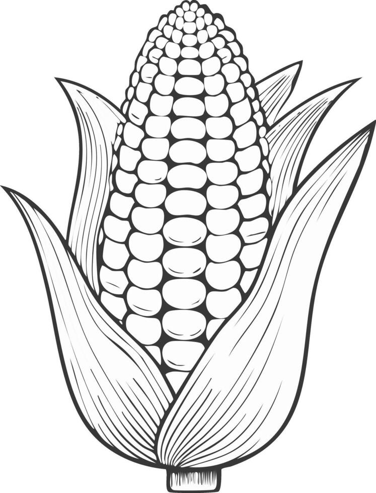 Corn Vegetable Spice Vegan Food Meal Healthy Coloring Kid Book Page in Black and White. Monochrome and Samples vector
