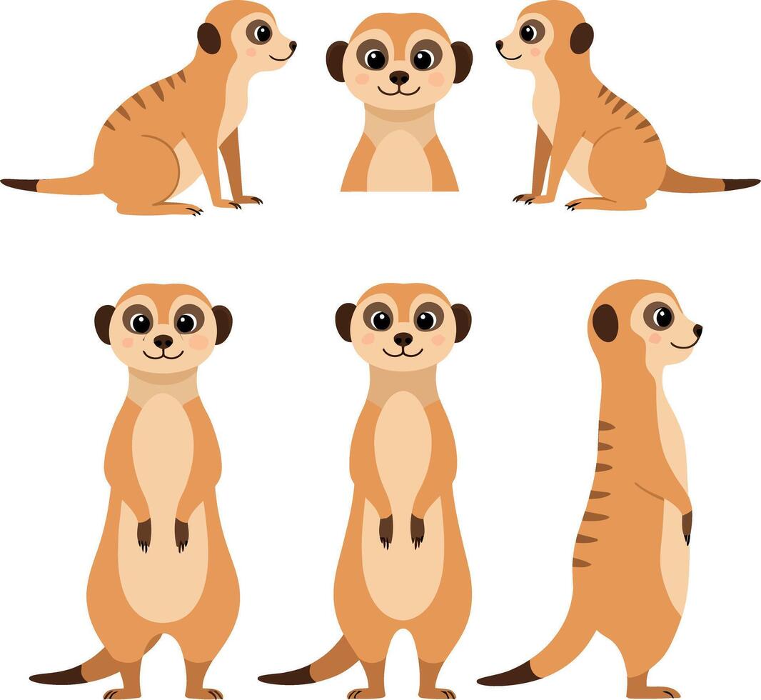 Charming meerkat characters in playful poses illustrated in flat art style for creative projects vector