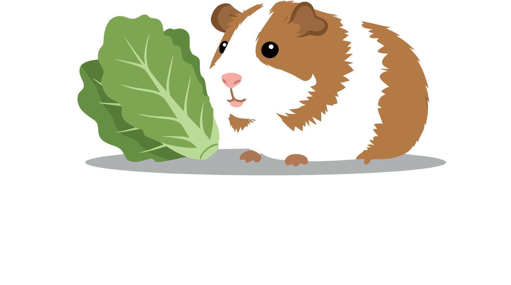 Cute guinea pig enjoying fresh lettuce in flat art vector