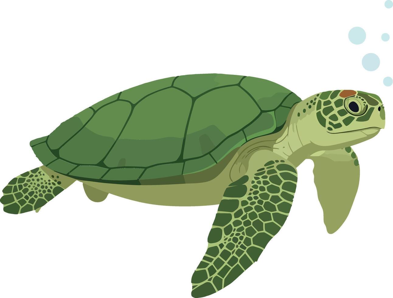Green sea turtle swimming gracefully in flat art style illustration vector