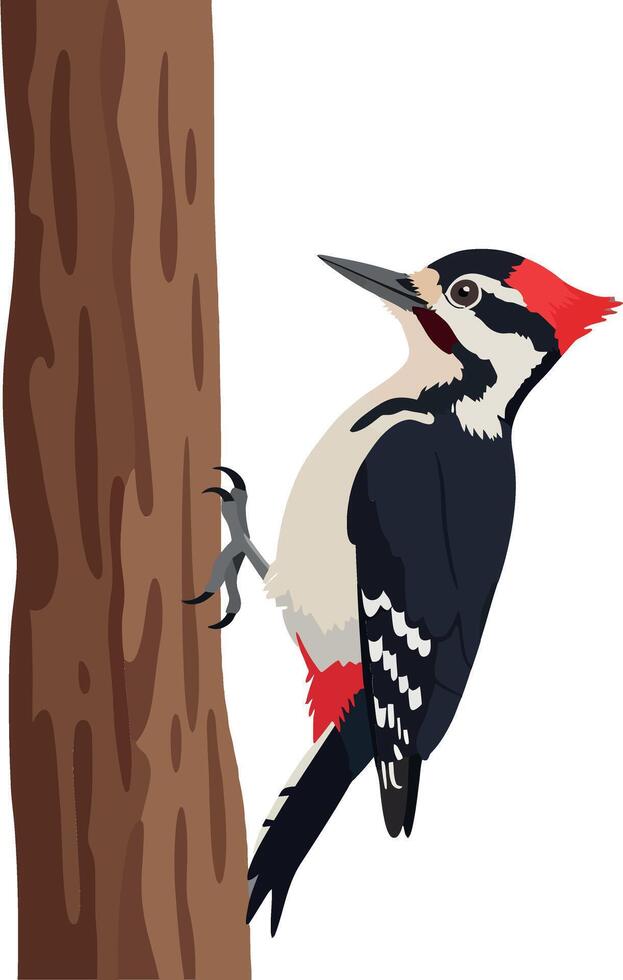 Woodpecker climbing a tree trunk in flat design art vector