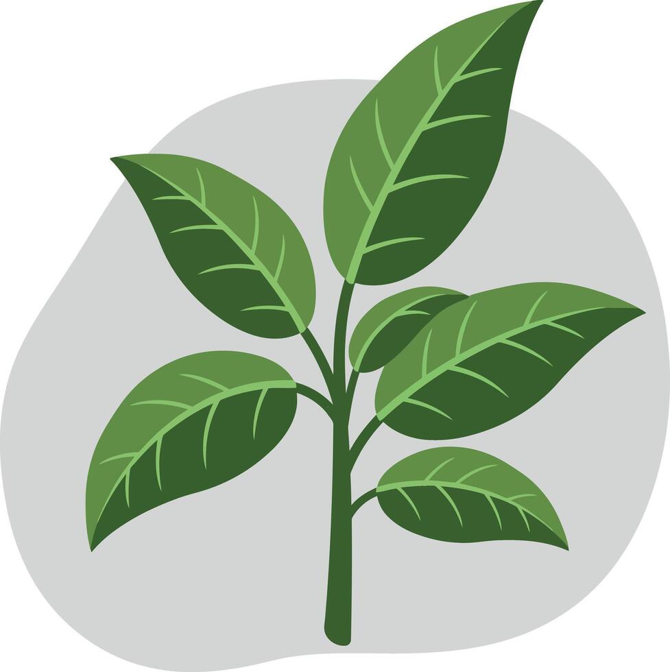 Green plant with vibrant leaves in minimal style on a soft background, showcasing illustration vector