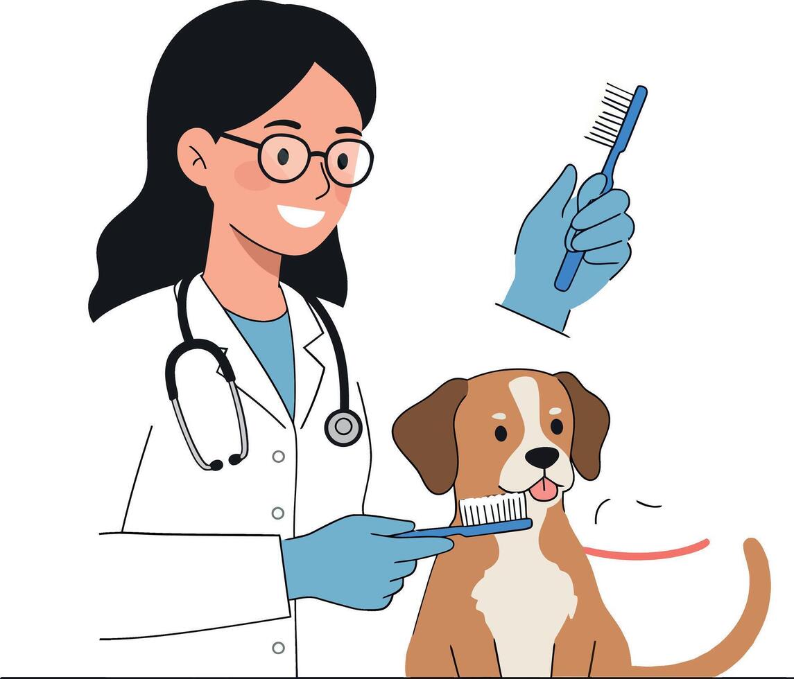 Veterinarian brushing a dogs fur with a gentle smile and care vector