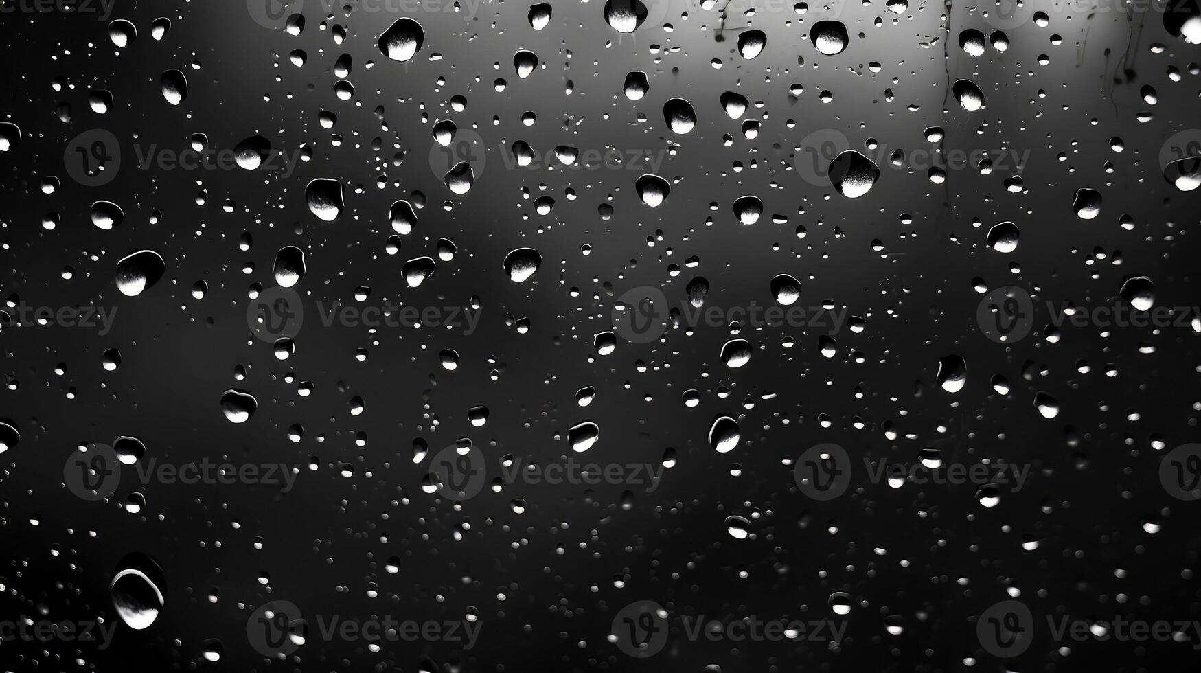 distortion black and white computer photo