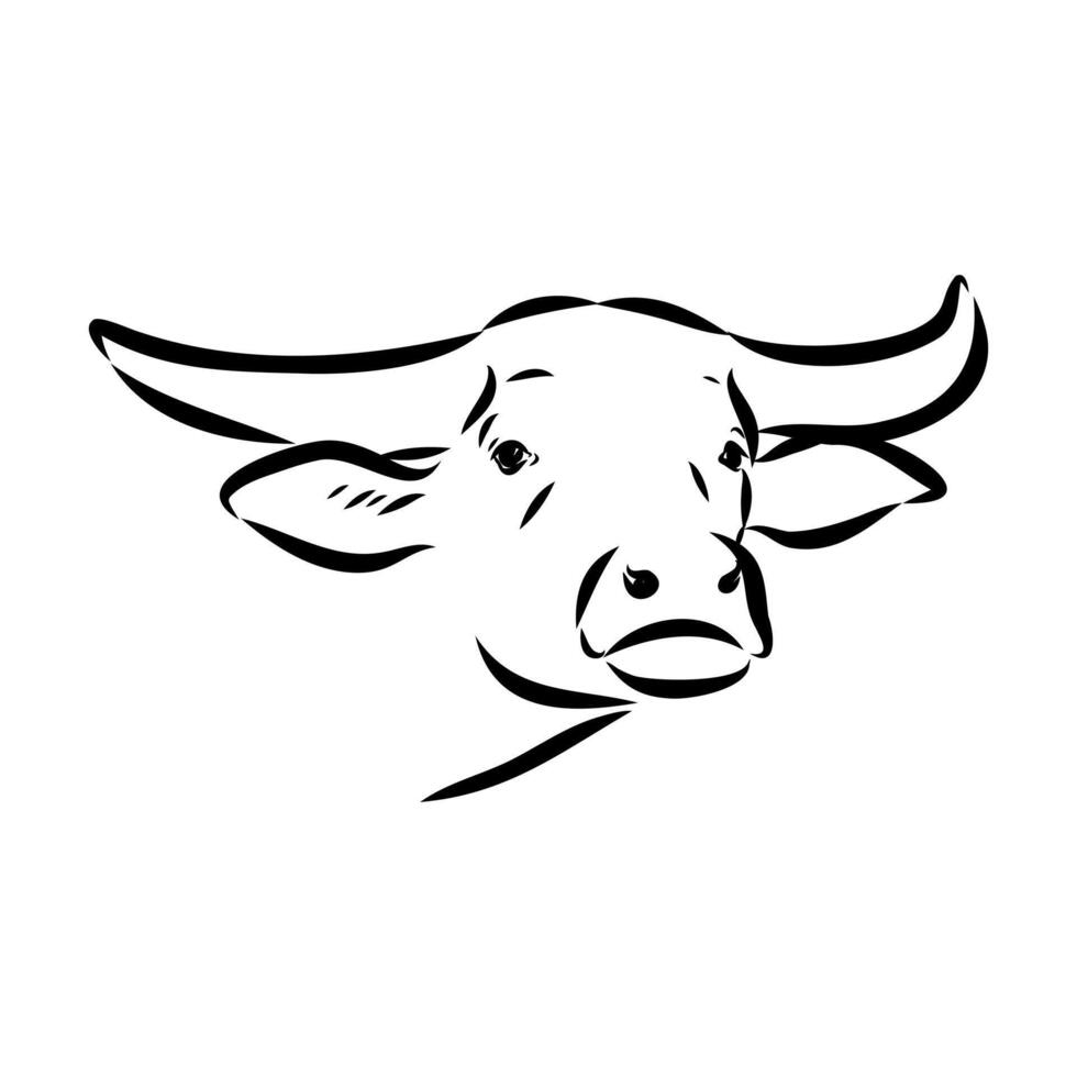 the head of a large Indian water buffalo vector