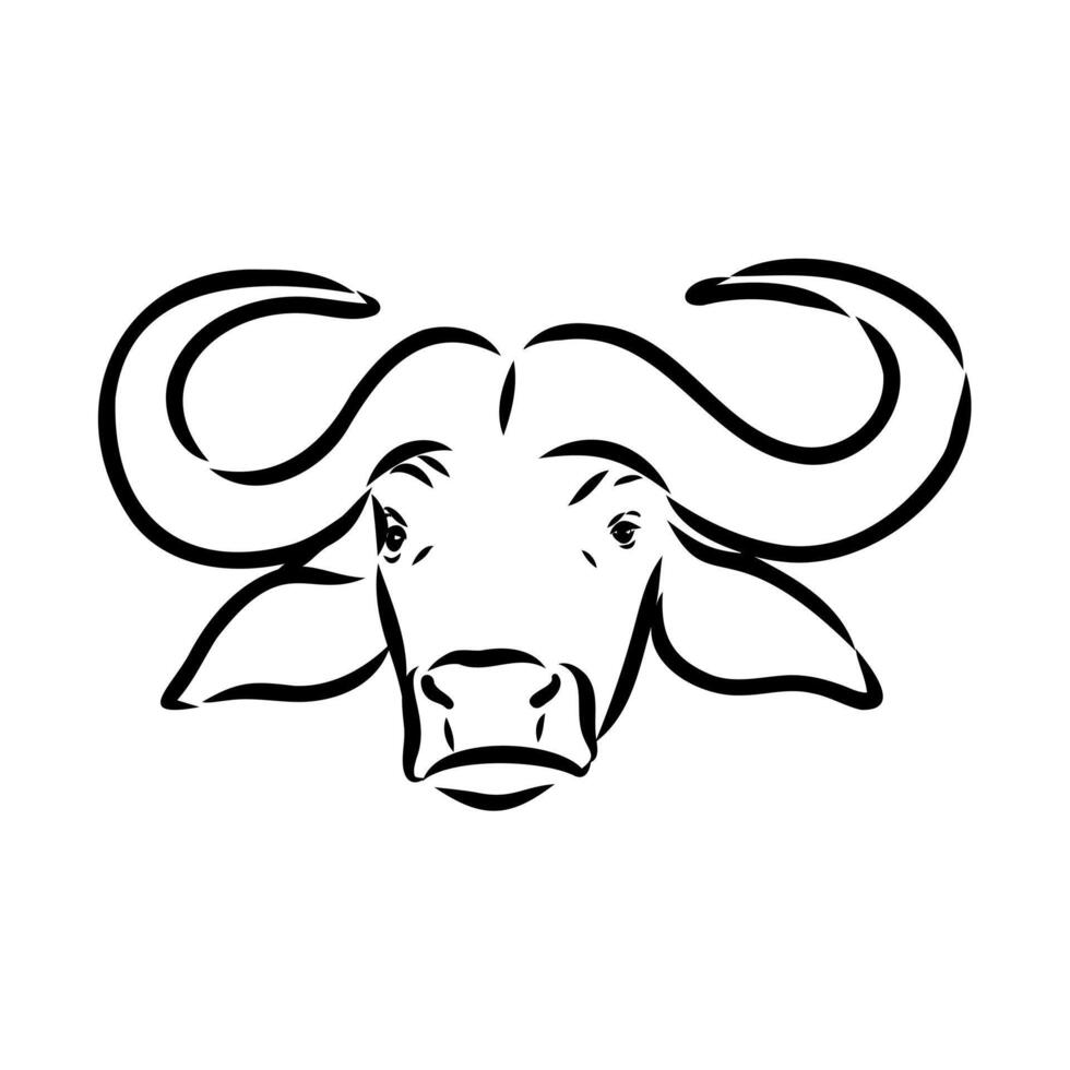 indian buffalo head sketch vector
