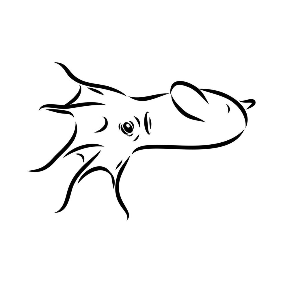 relict infernal vampire squid vector