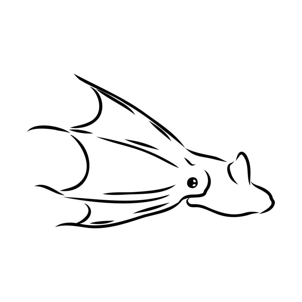 Squid infernal vampire drawing vector