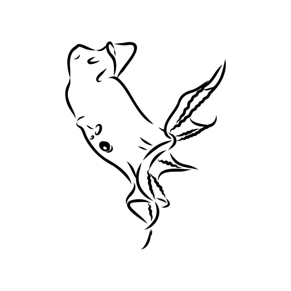 The infernal vampire squid vector