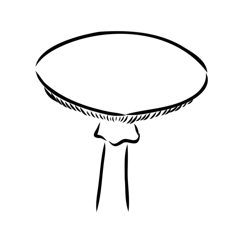 Poisonous mushroom toadstool black and white drawing vector