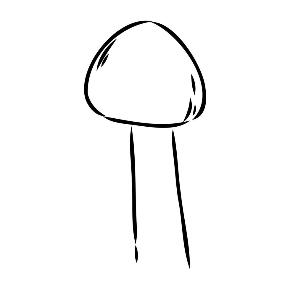 Deadly poisonous mushroom toadstool sketch vector