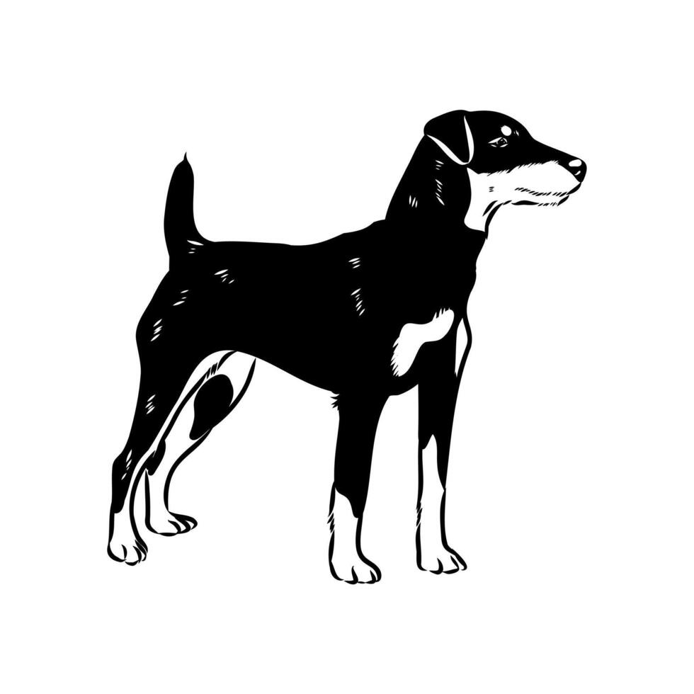 hardy dog German Jagdterrier drawing vector