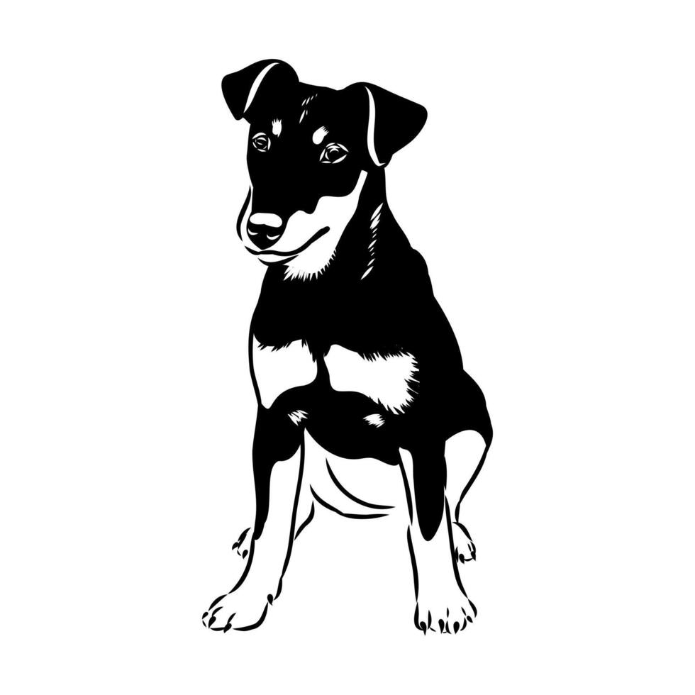 a hardy German Jagdterrier dog vector