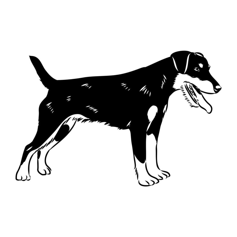German wire-haired Jagdterrier dog drawing vector