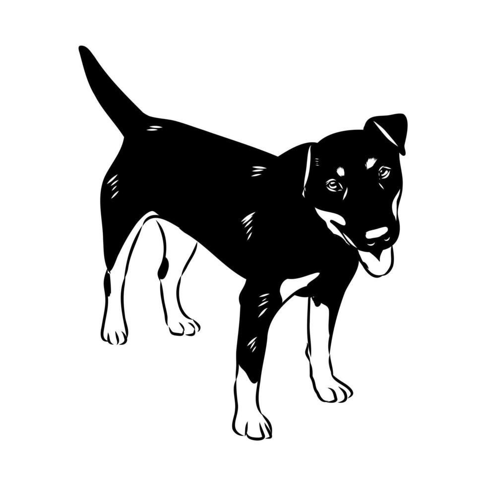 German Jagdterrier black and white sketch vector
