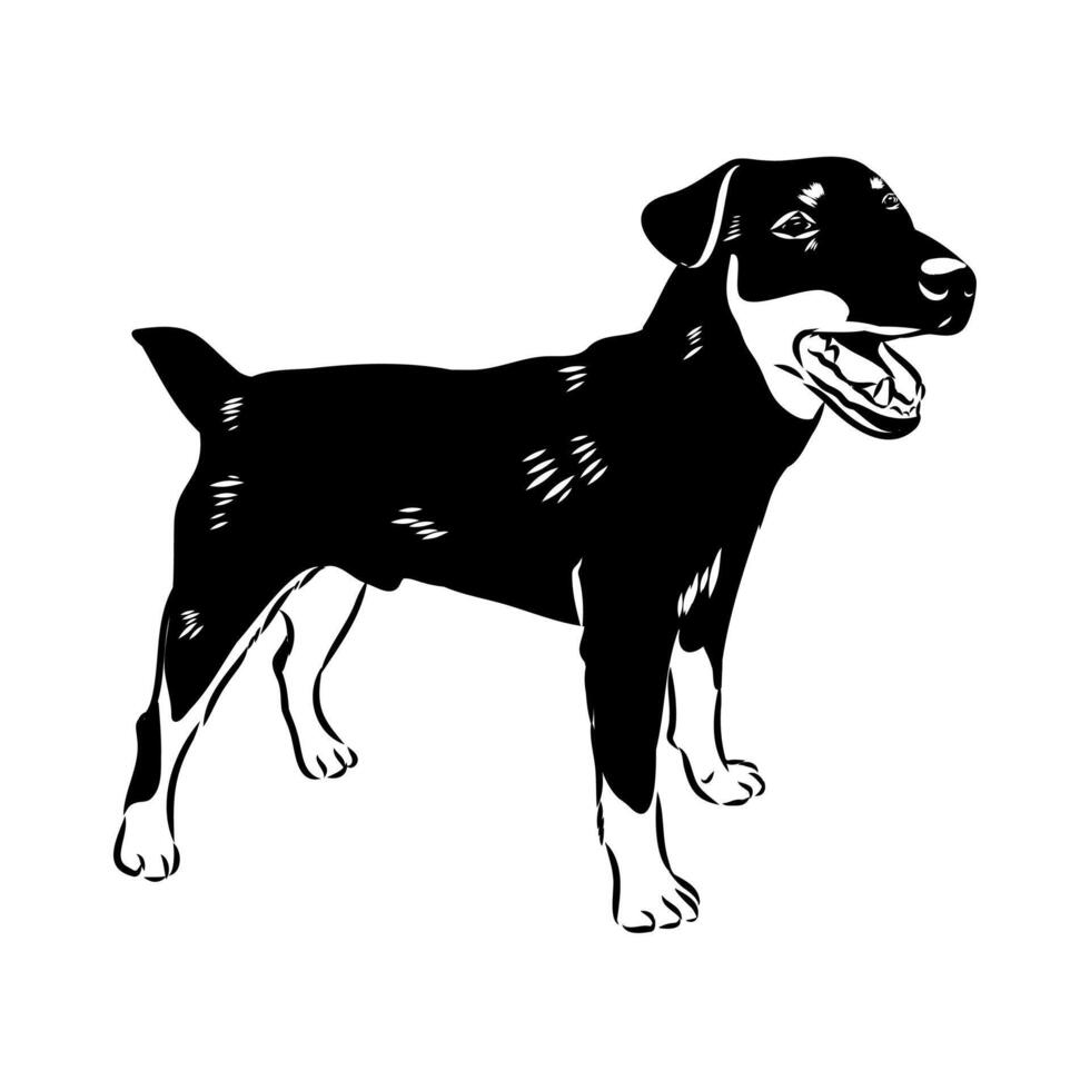 German Jagdterrier drawing vector