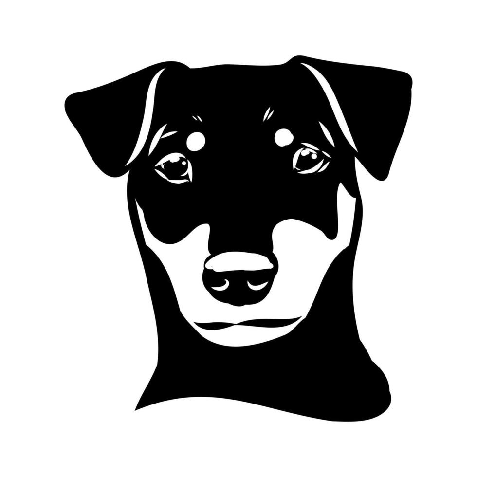 German Jagdterrier dog sketch vector