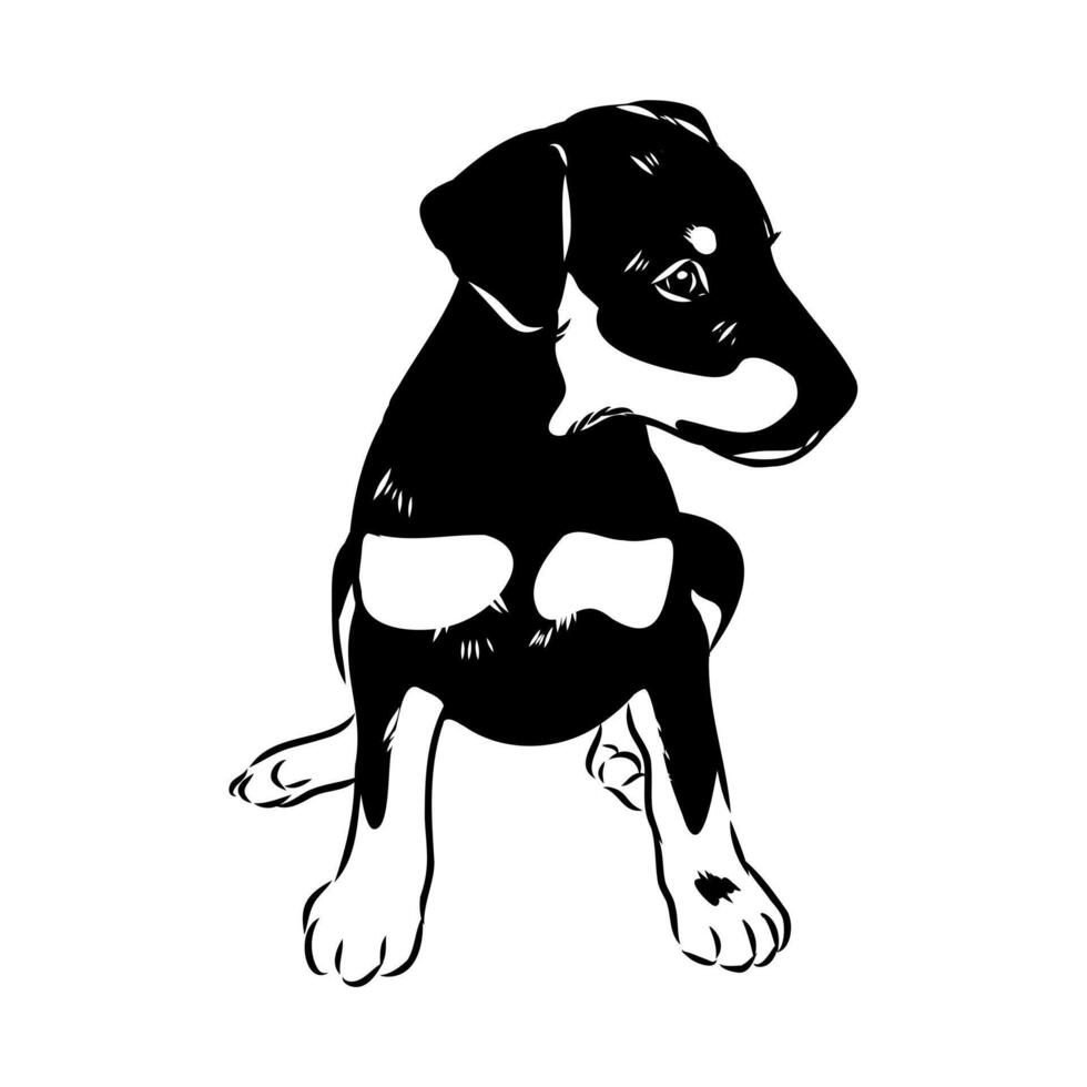 German Jagdterrier dog drawing vector