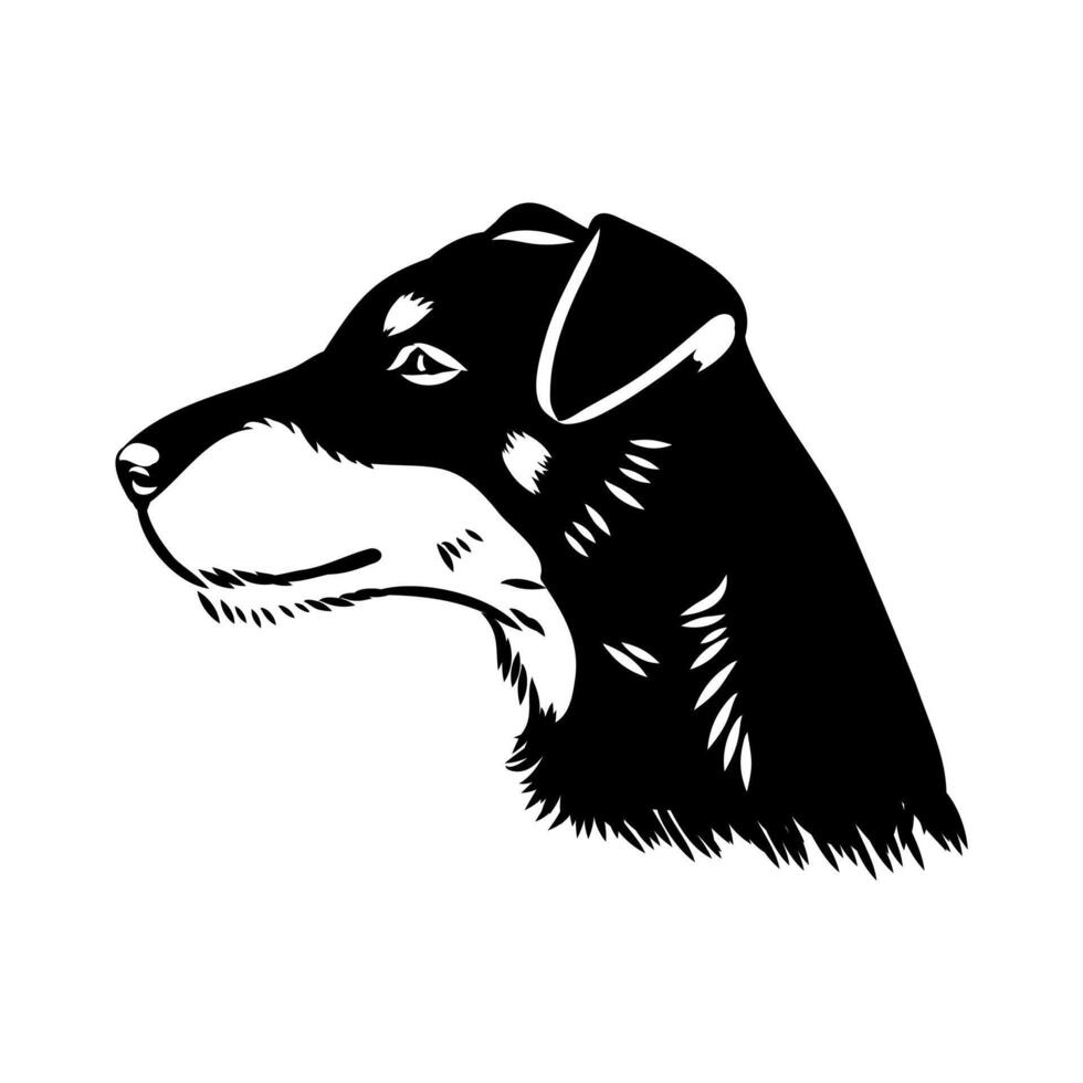 the dog is a German Jagdterrier vector