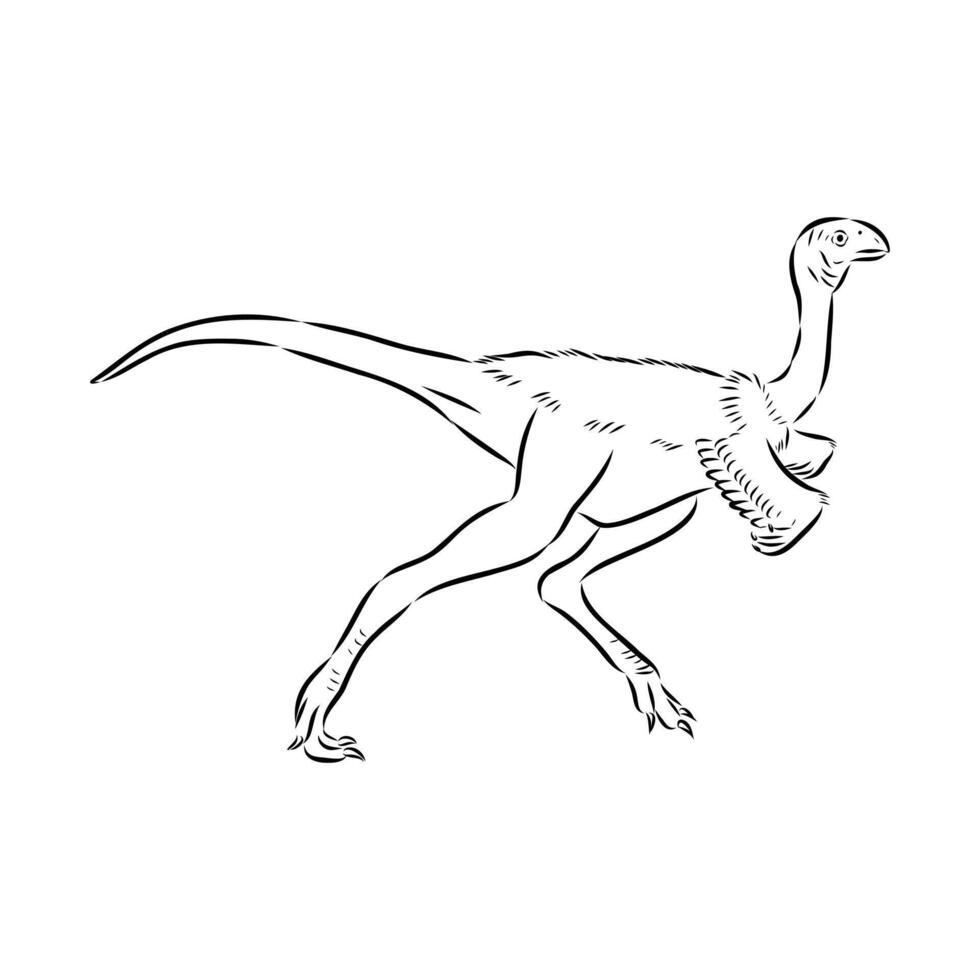 A small fleet-footed dinosaur avimim drawing vector