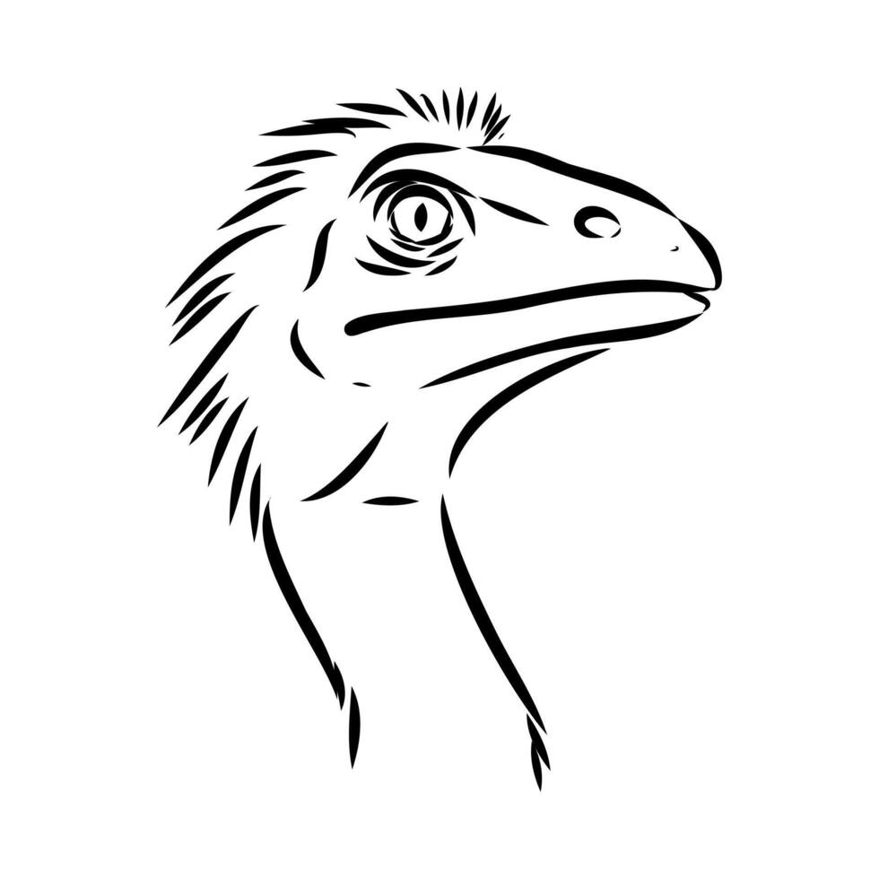The head of a fleet-footed dinosaur avimim drawing vector