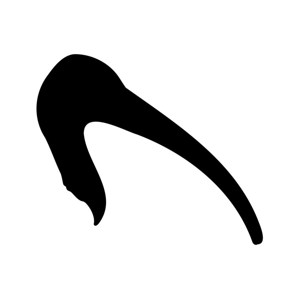 bird Australian ibis sketch vector