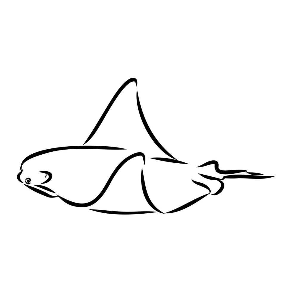 East American stingray fish sketch vector